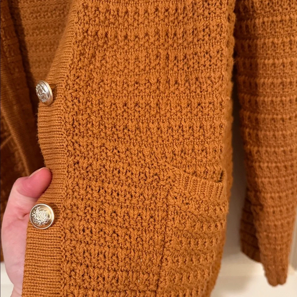 cristina B Rust Crochet-Style Button Cardigan - Picture 6 of 7